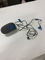 Earphones and case overview