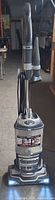 Full front view of upright vacuum showing handle, cord wrap, dust cup, and floor head