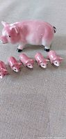 Mother pig and four piglets lined up on fabric surface