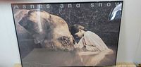 Full view of framed Ashes and Snow poster