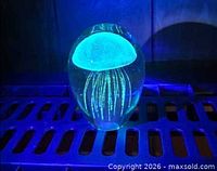 Paperweight glowing under UV light