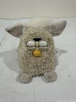 Front view showing face, eyes, beak, ears, and body