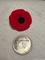 Reverse side showing flying goose and date