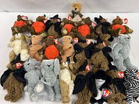 Group shot of entire lot laid out