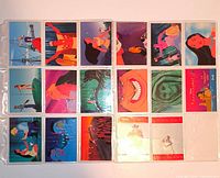 Plastic binder sleeve holding 18 Disney Pocahontas trading cards including two insert variants
