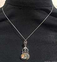 Full view of necklace on display bust showing pendant and chain