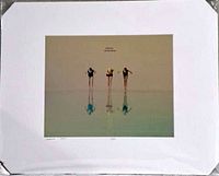 Front view of matted photograph showing full image and mat