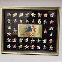 Full view of framed pin set showing all pins and plaque