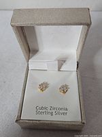 Earrings in open box showing studs and material text