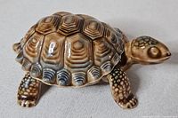 Side view of Wade porcelain turtle trinket box