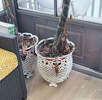 Pair of ornate white metal planters on porch floor