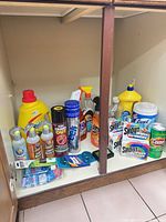 Entire cabinet showing all cleaning products together