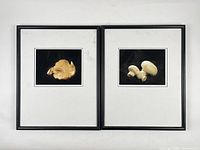 Both framed mushroom prints side-by-side