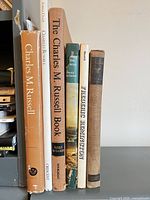 Spine view of all six books showing titles and bindings
