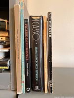 Spines of six Picasso reference books lined together on shelf