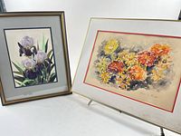 Both framed watercolours side by side