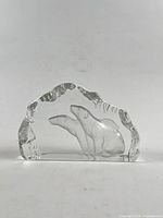 Front view showing full etched polar bear design and irregular ice outline