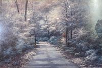 Close view of landscape image