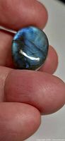 Oval labradorite cabochon held between fingers showing blue flash