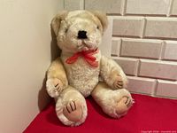 Front view of plush teddy bear seated