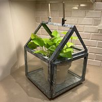 Full view of house-shaped terrarium with plant inside