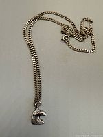 Full view of necklace showing chain, clasp, and pendant