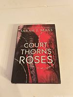 Front cover of hardcover novel