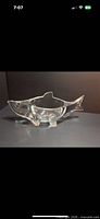 Full profile of clear glass salmon dish on four fin supports