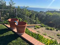 Both terracotta pots side by side in garden setting