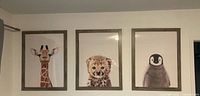 Front view showing three framed animal prints (giraffe, cheetah, penguin) hung side by side