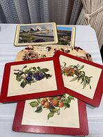 Mixed placemats on table, showing fruit, Sydney and grape designs