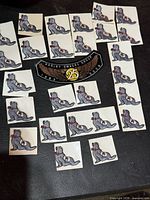 All patches laid out showing Harley Owners Group patch centered and numerous small seal patches around