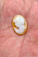 Front view of oval shell cameo showing female profile relief