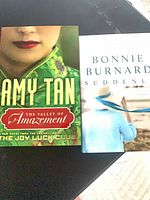 Front covers of both hardcover novels