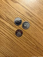 Reverse sides of all three coins showing Winnipeg Centennial design on 1974 dollar and Voyageur design on 1983 and 1984 dollars