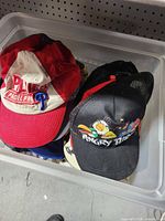 Overview showing Phillies cap and Angry Birds cap in tote