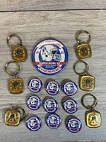 Full lot layout showing one large pin, nine small pins, four keychains