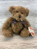 Front view of brown teddy bear with tag and plaid bow
