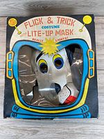 Front view of boxed costume showing mask through torn window