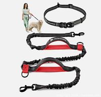 Marketing image showing belt, bungee leash, dual handles, person walking dog