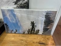 Both wrapped canvas prints side by side showing tree and sky image