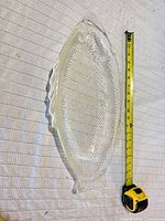 Top view showing full fish shape and tape for scale
