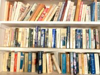 Three shelves filled with paperback books