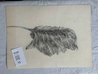 Full view of graphite leaf study drawing on sheet with QR card
