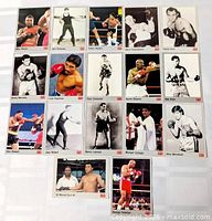 Full sheet of boxing cards showing 15 of the 17 cards