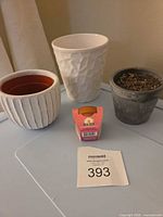 All four items: three planters and Buzzy Daisy grow kit