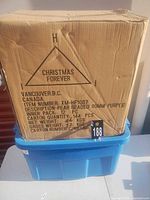 Sealed master carton on blue tote