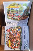 Camping Trip and harvest collage puzzle boxes in carton