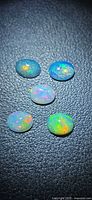 Five oval opal cabochons on dark textured surface showing play of color