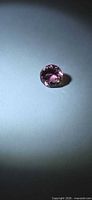 Round pink tourmaline on neutral background showing overall color and cut